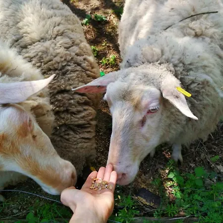 Kozojedsky Dvur Alojamento de Turismo Rural Litencice