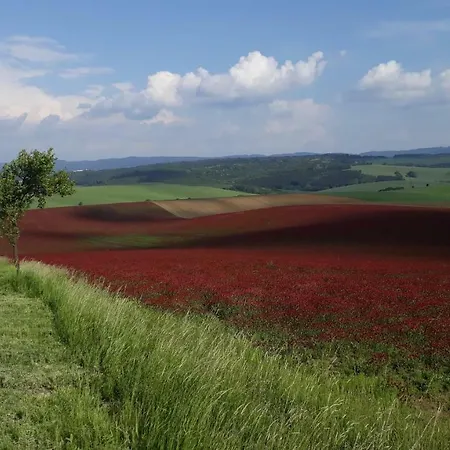 Kozojedsky Dvur Alojamento de Turismo Rural Litencice