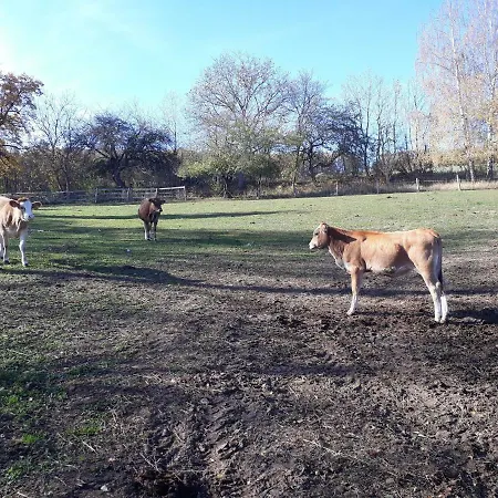 Kozojedsky Dvur Alojamento de Turismo Rural