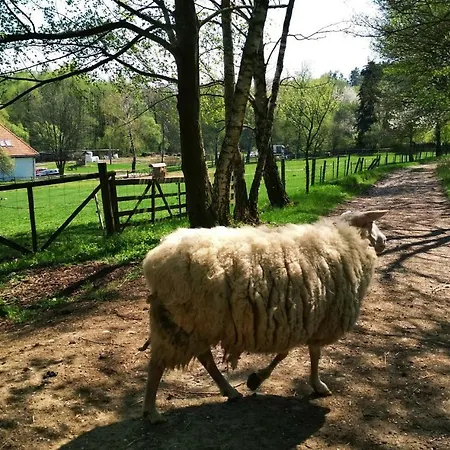 Kozojedsky Dvur Alojamento de Turismo Rural
