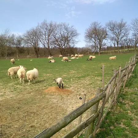 Alojamento de Turismo Rural Kozojedsky Dvur